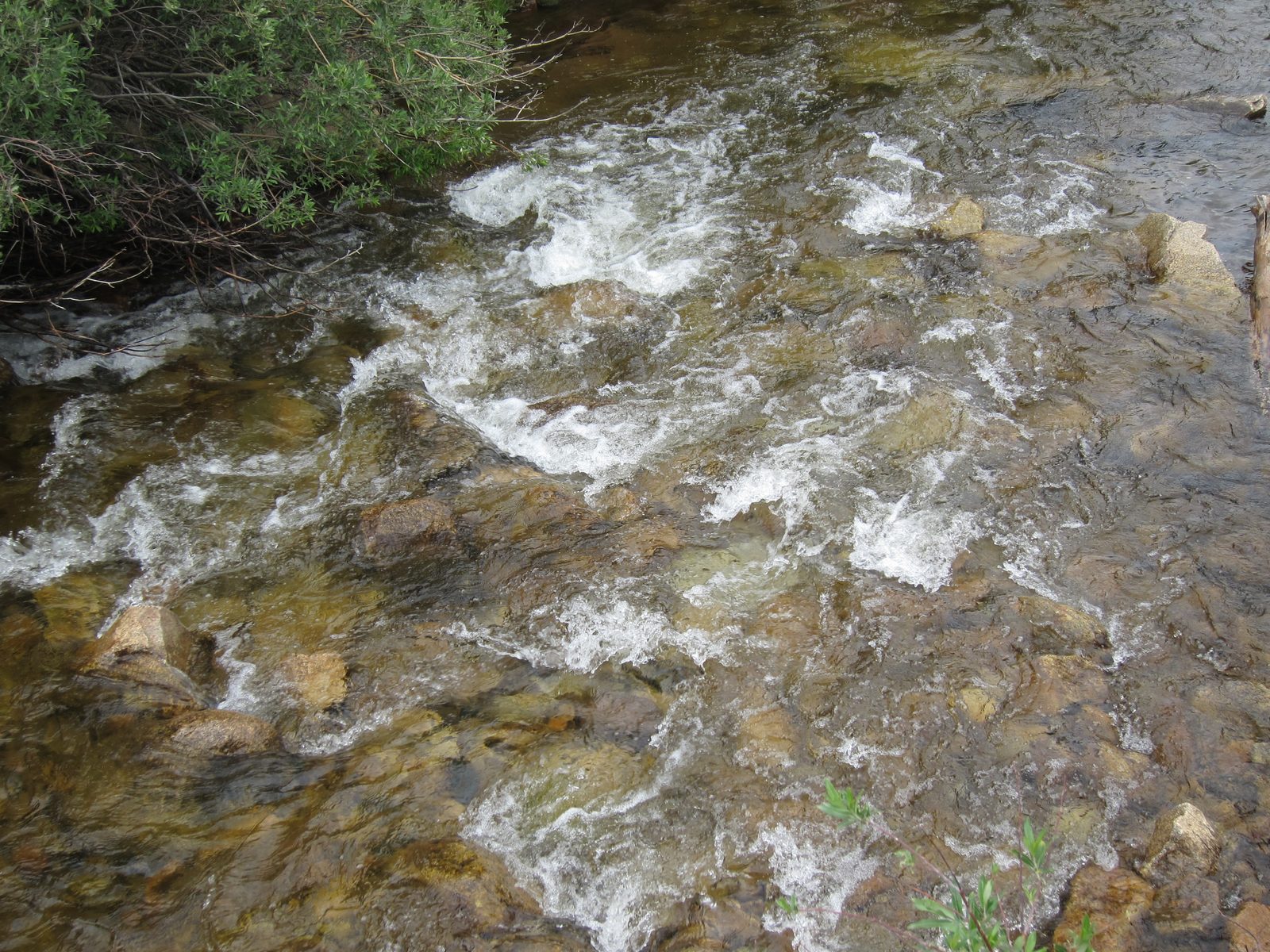 The creek running through St Elmo.